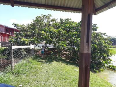 Restaurante Pesque & Pague Jatuarana