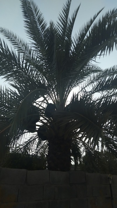 پارکینگ و خوابگاه بین راهی رایگان(زارملو)