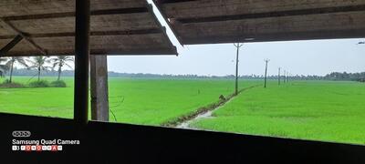 Kadankeri Toddy Shop