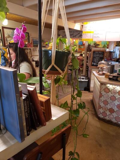 NOMADIC SOURDOUGH KITCHEN (formerly WICKED HI)