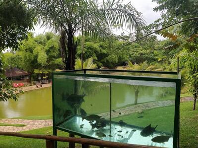 Pesque e Pague Rancho Palhoça