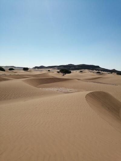 Bivouac Sky and Stars