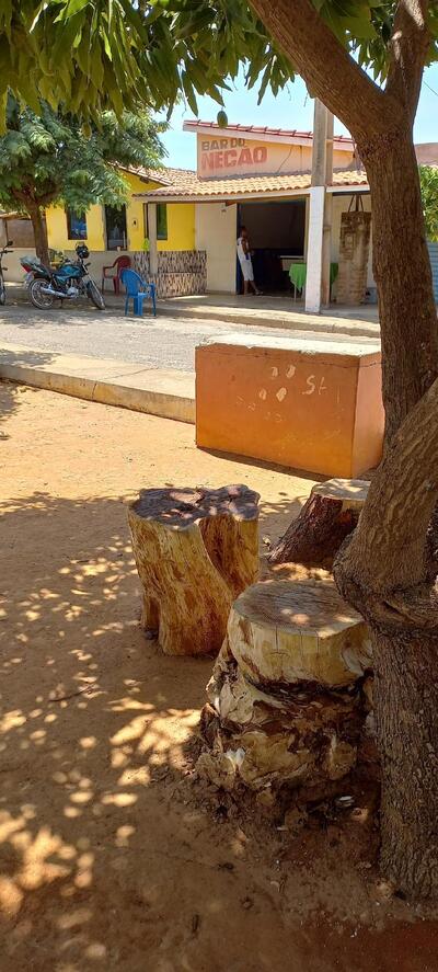 Bar do necao