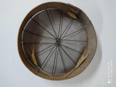 Barone 00 di Barone Marco S.A.S.