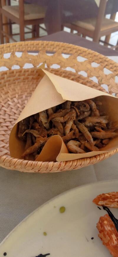 Quinta Dimensione Ristorante Pizzeria, c/o Villaggio Camping Lungomaree