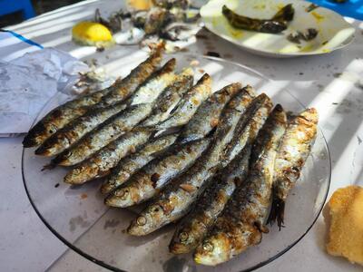 Restaurant Marche Driouch