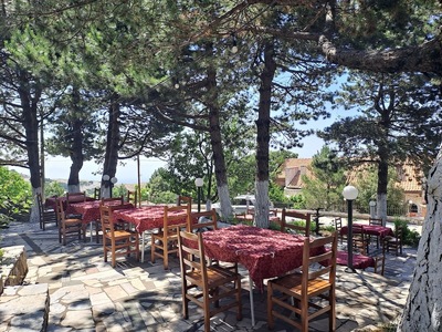 Restaurant Apollonia , llogora
