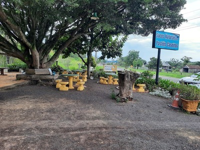 Naturalle Sucos e Lanches