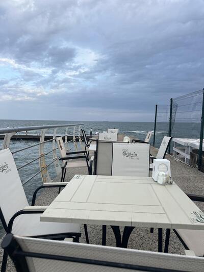 Устриці Скіфії Одеса