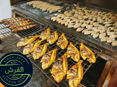 اسماك القرش الزقازيق