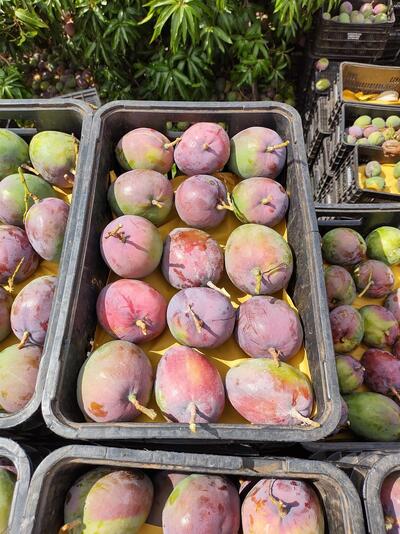 Bar E Restaurante Do Chiquinho