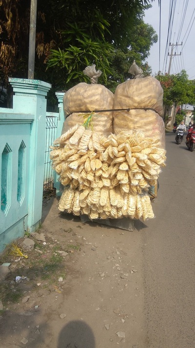 Krupuk Tunas Muda
