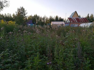 Avtomobilist
