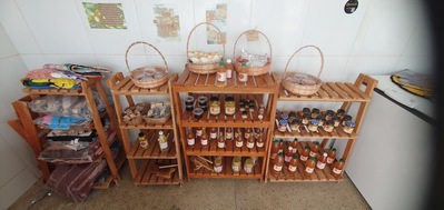 Catadoras De Mangaba