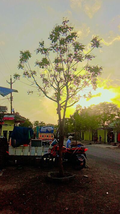 Om Sai Dhaba & Restaurant