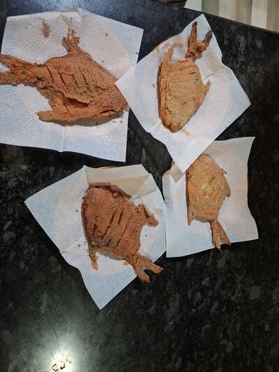 Hotel samarth agro tourism