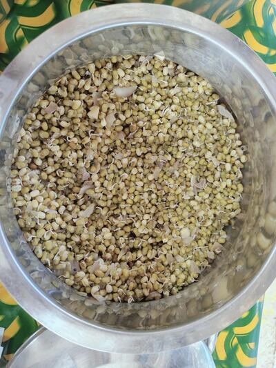 Harishwar Millets