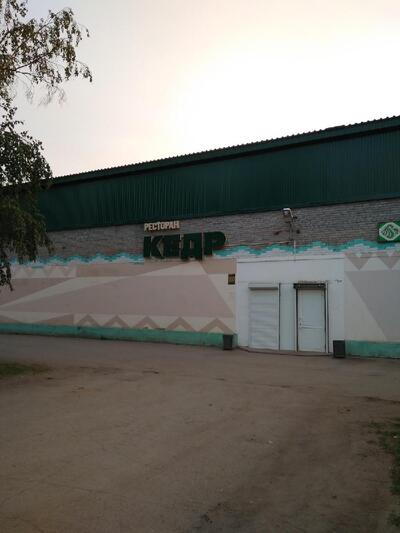 Kedr