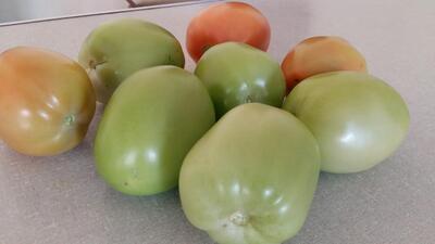 Restaurante Carne Assada