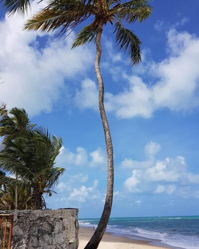 RESTAURANTE TABAGRILL MIRANTE