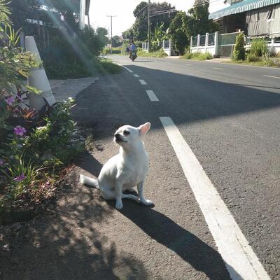 น้องไนซ์ อาหารตามสั่ง