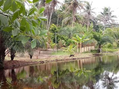 Restaurante Beira-rio