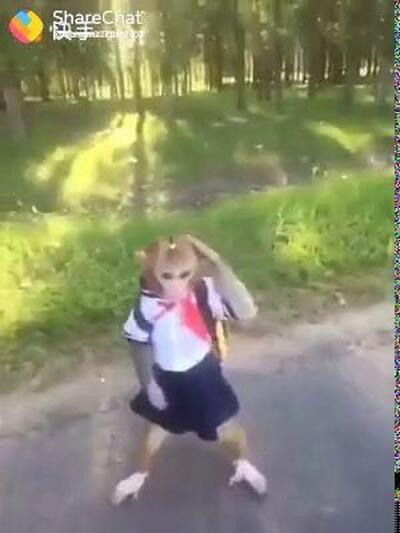 Krishna Roti Subzee photo