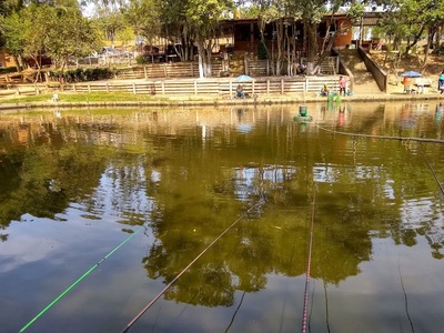 Pesqueiro Bicho de Pé