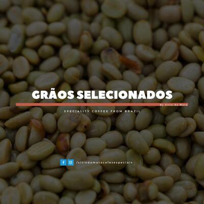 Pá de Café - Cafés Especiais