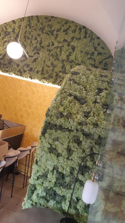 Forentum Food Evolution