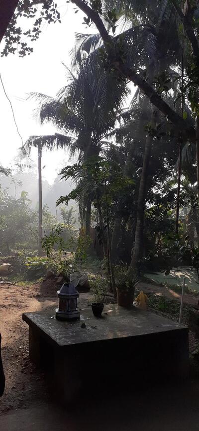 Maa Mansha Restaurent