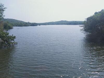 Mani Deekshith Kiranam