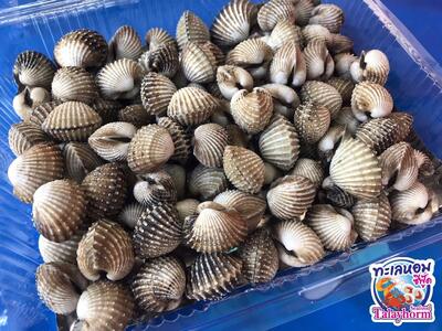 ทะเลหอมซีฟู้ด - Talayhom Seafood