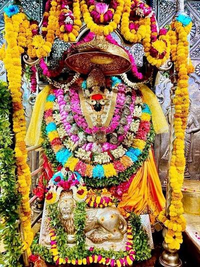 the krishna veg restaurant