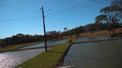 Pesque Pague Romildo