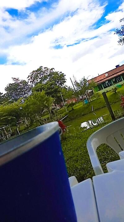 Pesque e Pague Fundo De Quintal