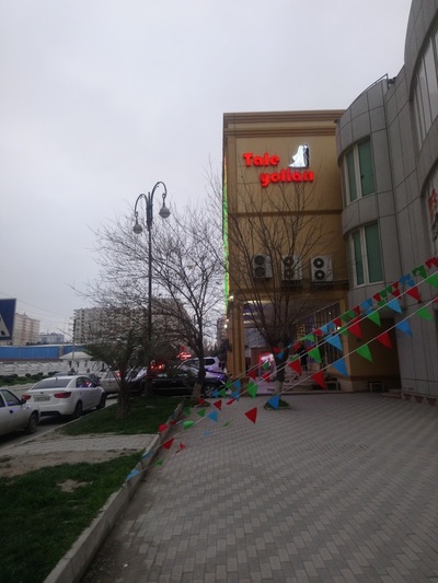 Tale Yolları şadlıq sarayı
