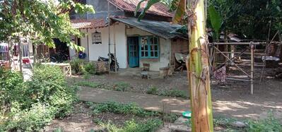 Warung Lauk Mak Manisah