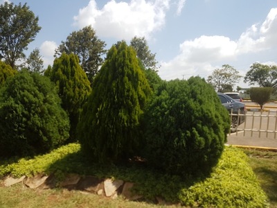Southfound House