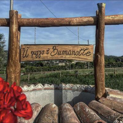 Antico Pozzo Braceria