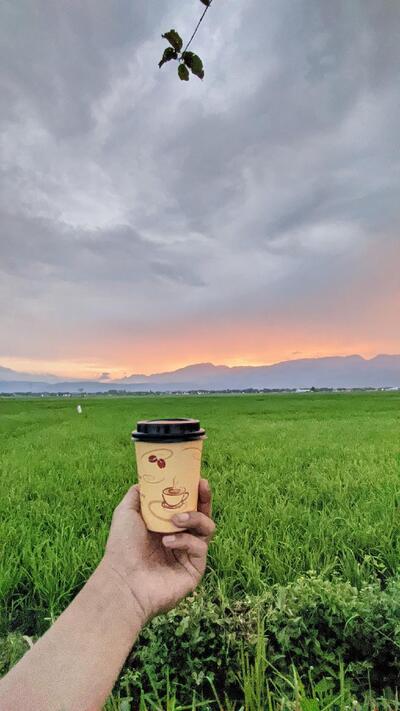 Kopi sabee