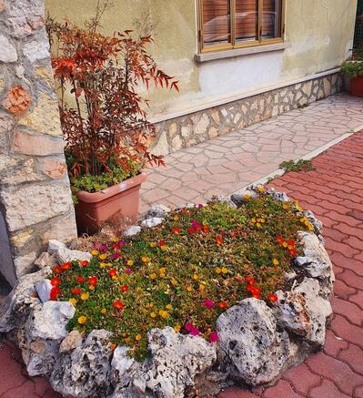 Panificio Eredi Lanzoni