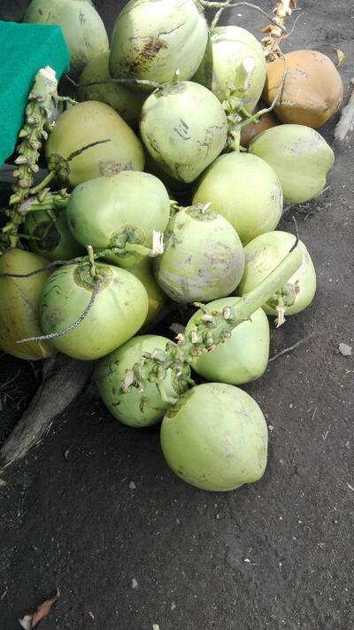 Warung Es Degan Mbak Nya