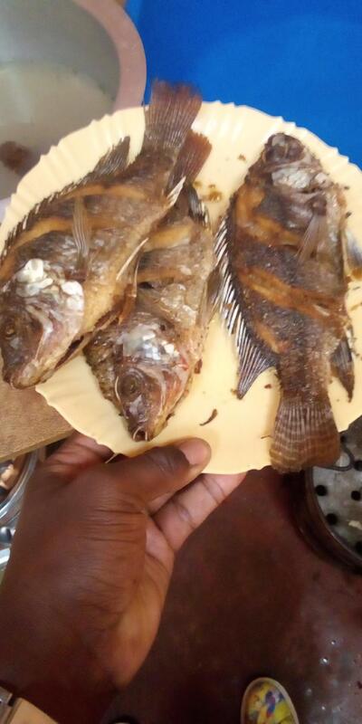 Fish point