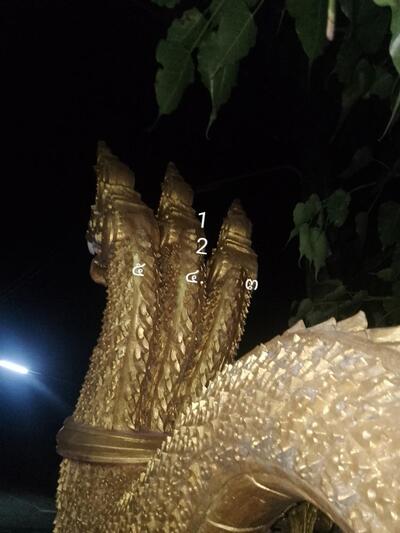 คุ้มดงหมูกระทะ