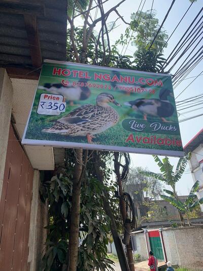 HOTEL NGANU