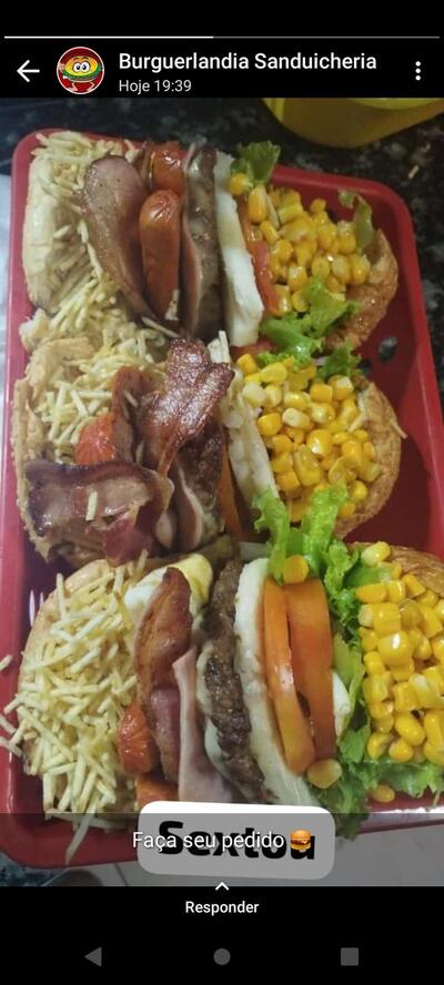 Zé Colméia Sanduicheria