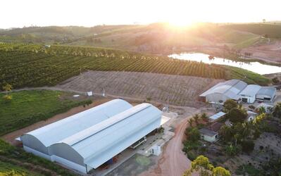 Simadon Grãos - Toninho Café