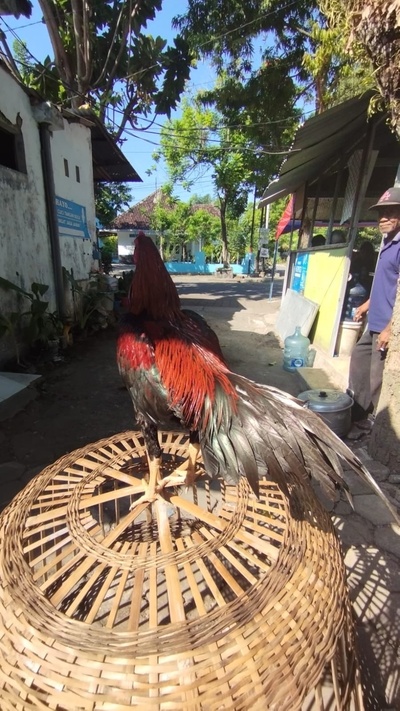 Warung Bahagia Bu Endah