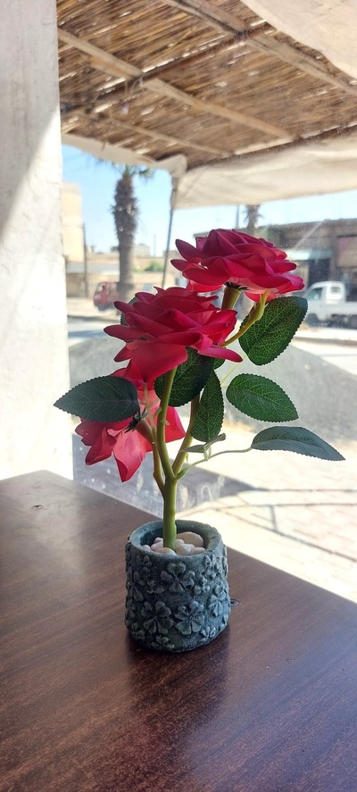 مطعم باباسنفور